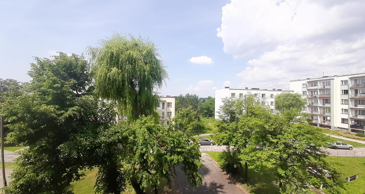 Bursztynowy Apartament Tarnowskie Gory Exterior photo